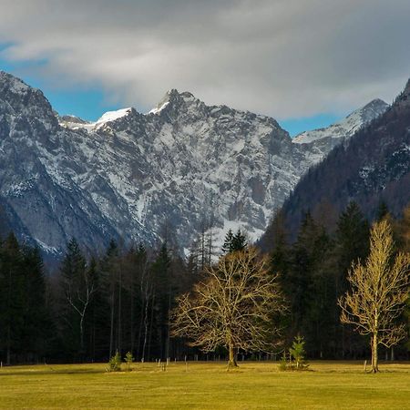 Turisticna Kmetija Psnak Daire Mojstrana Dış mekan fotoğraf