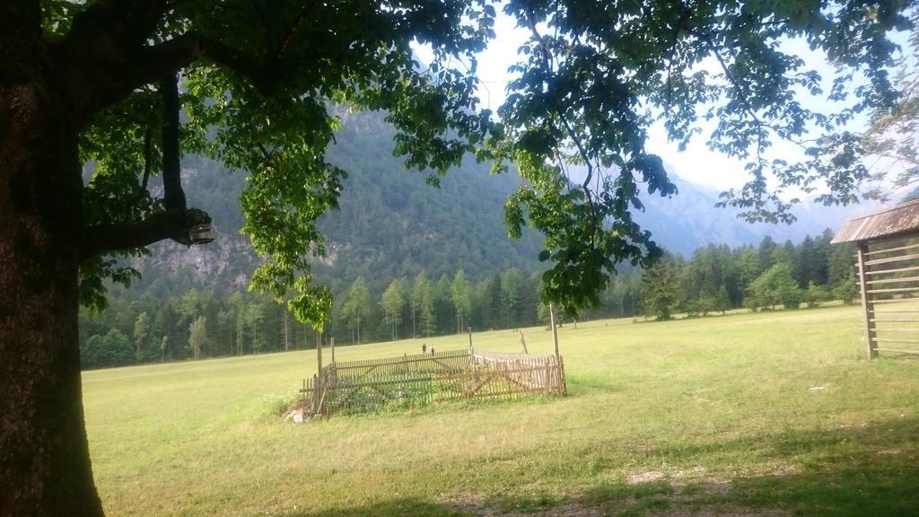 Turisticna Kmetija Psnak Daire Mojstrana Dış mekan fotoğraf