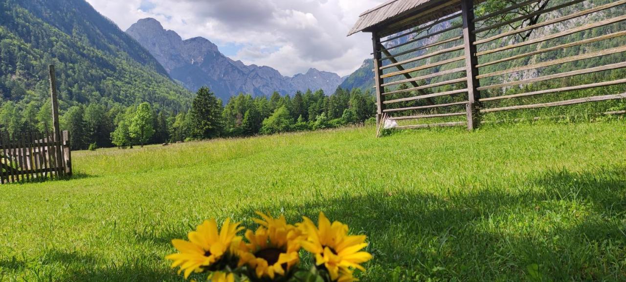Turisticna Kmetija Psnak Daire Mojstrana Dış mekan fotoğraf