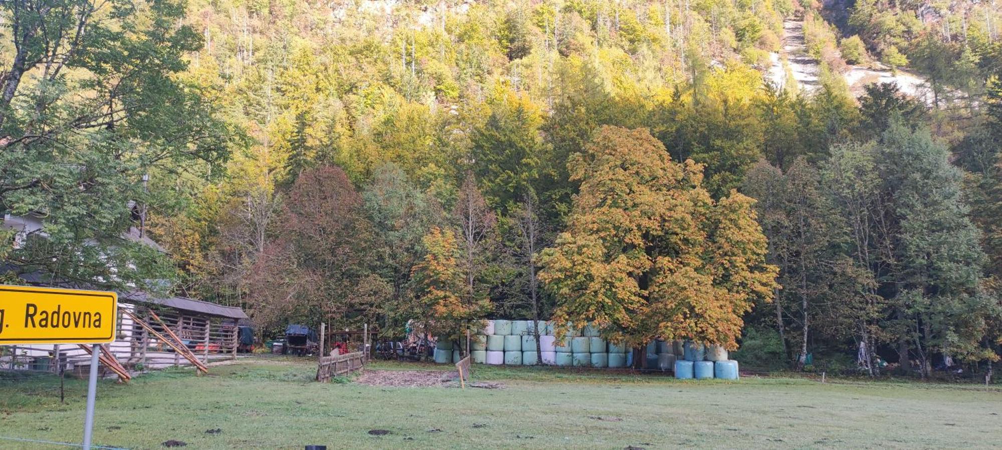 Turisticna Kmetija Psnak Daire Mojstrana Dış mekan fotoğraf