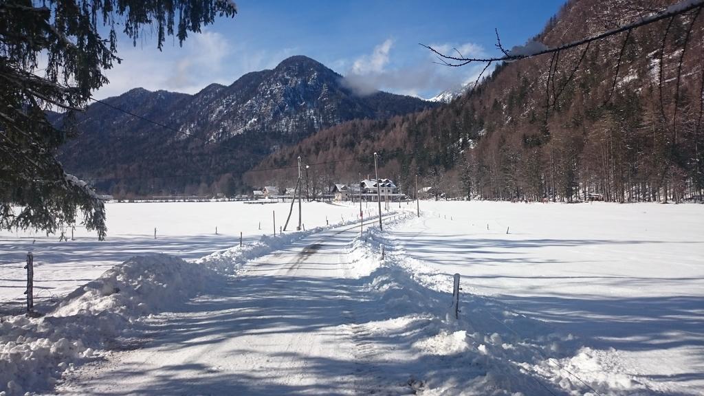 Turisticna Kmetija Psnak Daire Mojstrana Dış mekan fotoğraf