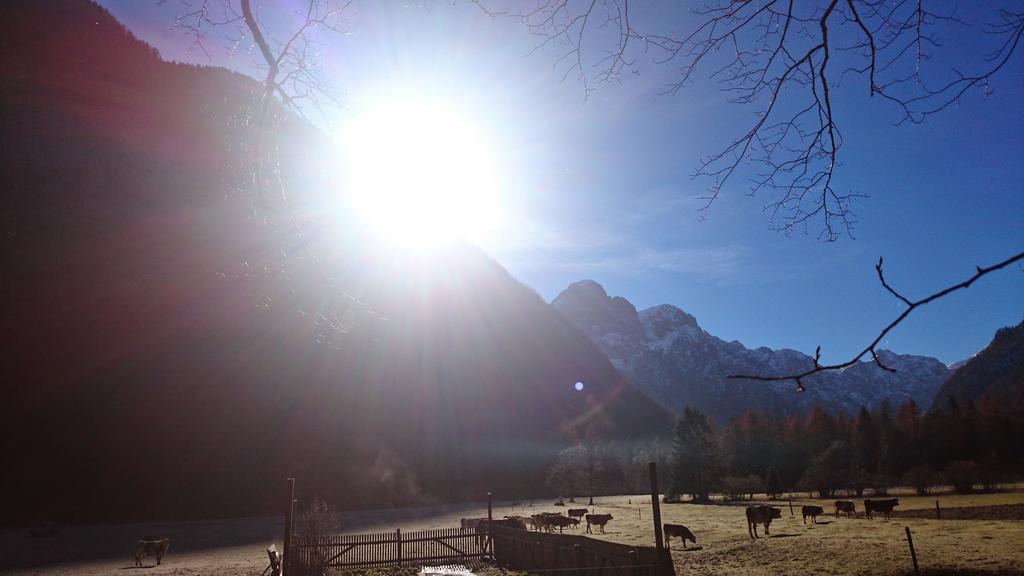 Turisticna Kmetija Psnak Daire Mojstrana Dış mekan fotoğraf