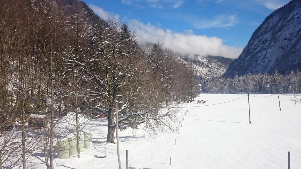 Turisticna Kmetija Psnak Daire Mojstrana Dış mekan fotoğraf