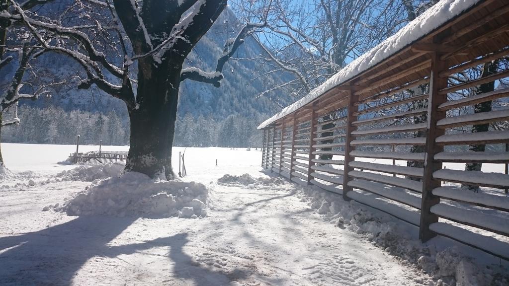 Turisticna Kmetija Psnak Daire Mojstrana Dış mekan fotoğraf
