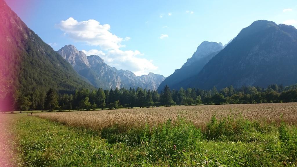 Turisticna Kmetija Psnak Daire Mojstrana Dış mekan fotoğraf