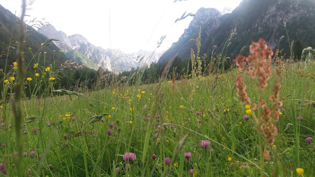Turisticna Kmetija Psnak Daire Mojstrana Dış mekan fotoğraf