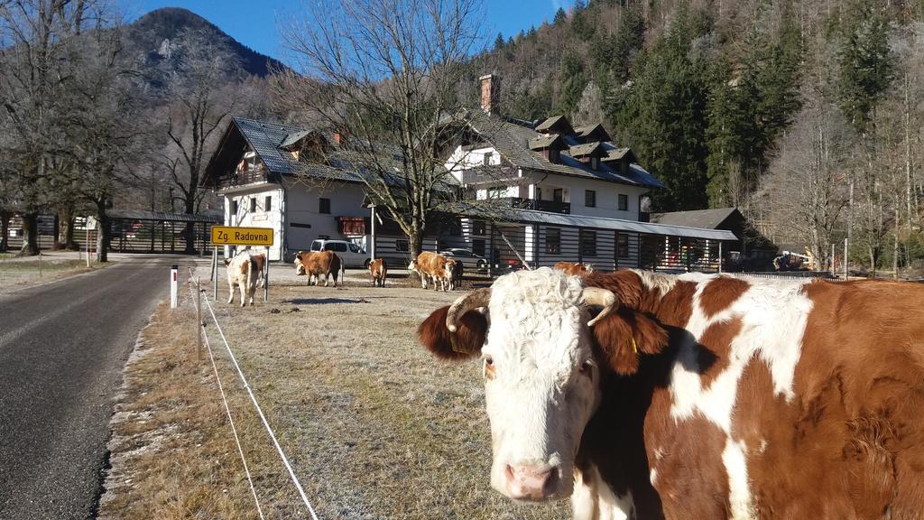Turisticna Kmetija Psnak Daire Mojstrana Dış mekan fotoğraf