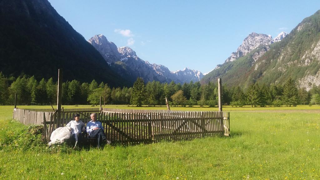 Turisticna Kmetija Psnak Daire Mojstrana Dış mekan fotoğraf