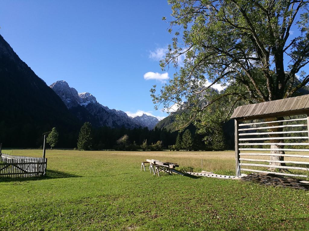 Turisticna Kmetija Psnak Daire Mojstrana Dış mekan fotoğraf