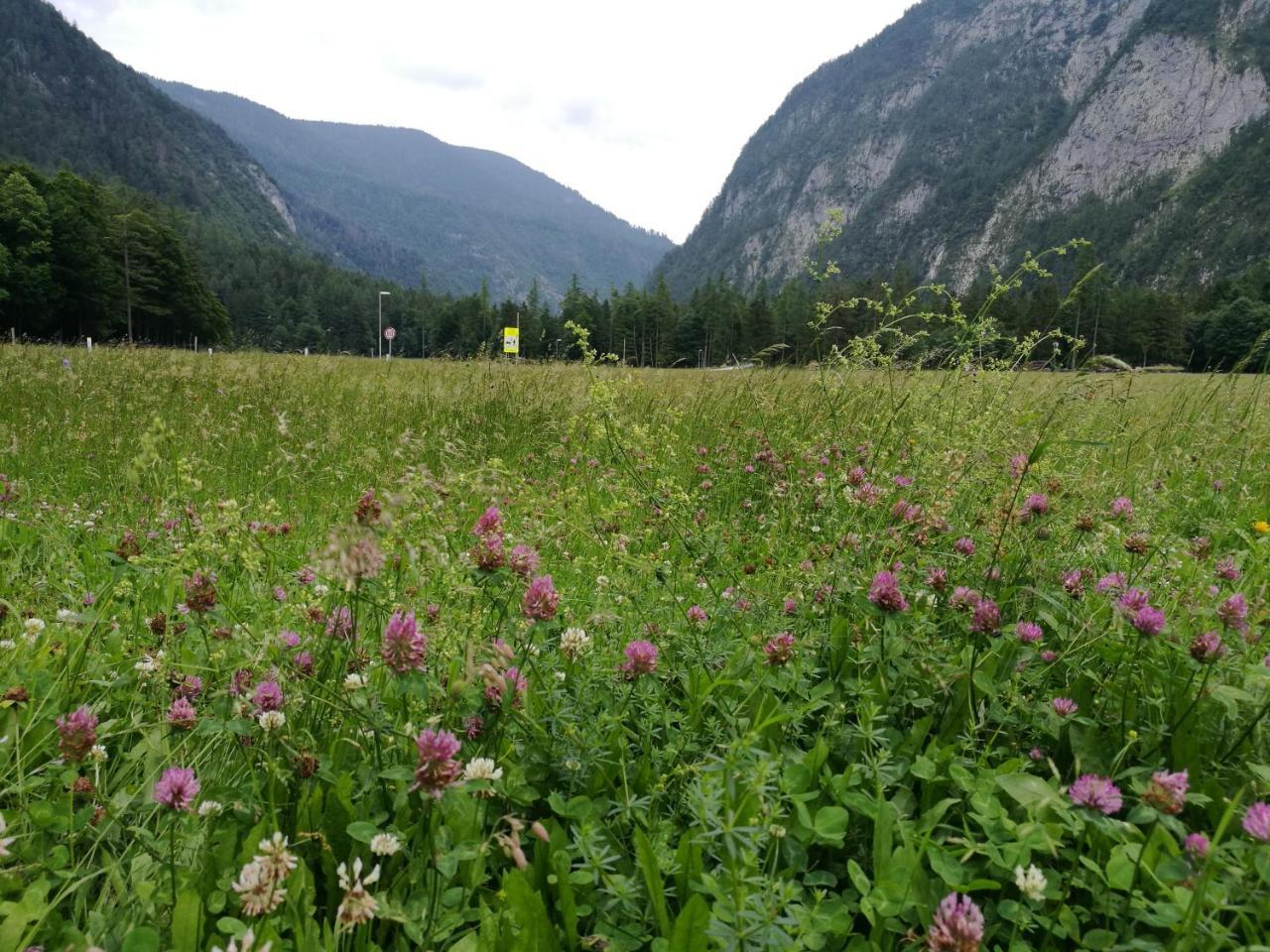 Turisticna Kmetija Psnak Daire Mojstrana Dış mekan fotoğraf