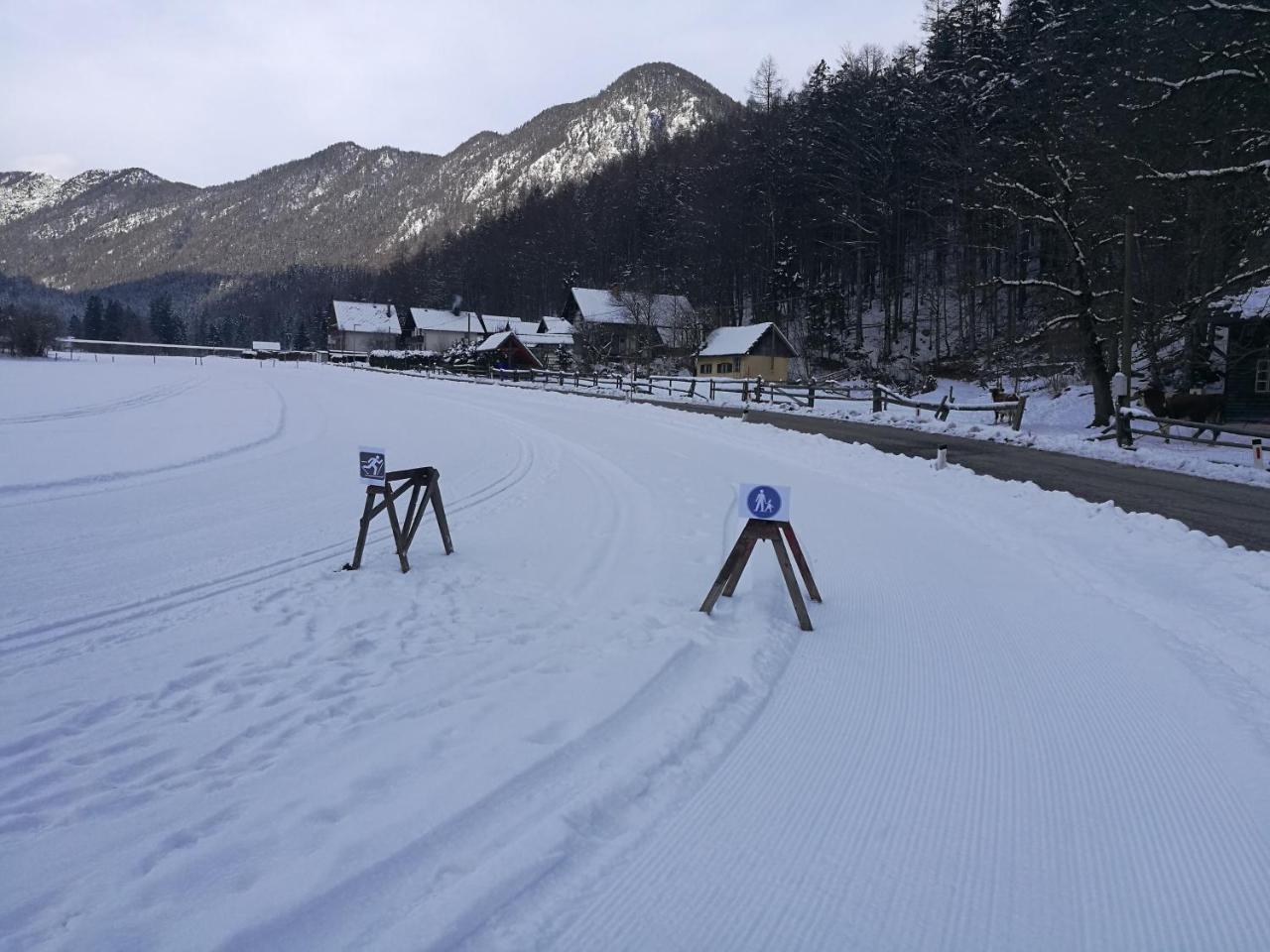 Turisticna Kmetija Psnak Daire Mojstrana Dış mekan fotoğraf