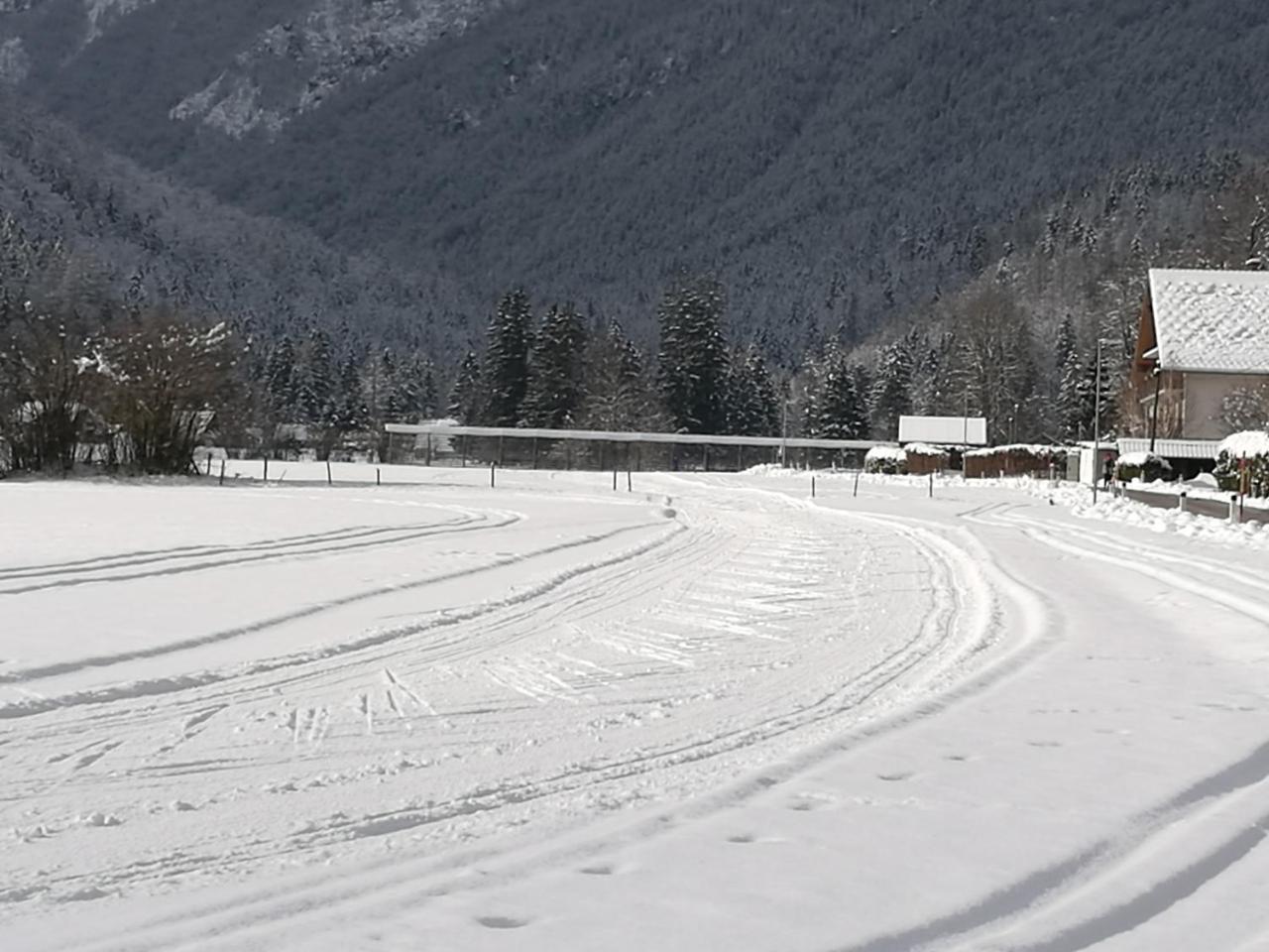 Turisticna Kmetija Psnak Daire Mojstrana Dış mekan fotoğraf